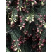 Ялина Вільсона (Picea wilsonii)